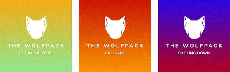 The Wolfpack Playlist