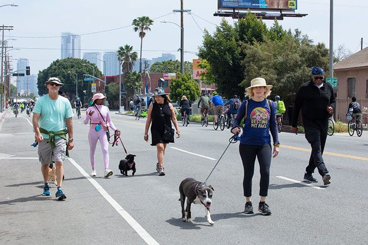 Transforming Watts into a public park for the day with a more pedestrian-oriented experience.