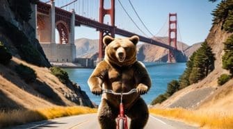 Experience the Across California bike tour, cycling from San Francisco to Reno while enjoying beautiful views and cozy accommodations.