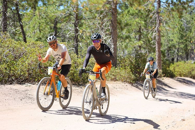 Dirty Bear Gravel 25 and 50 Miles