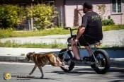 Tour de Murrieta  - Grand Prix