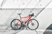 ROSE PRO SL
